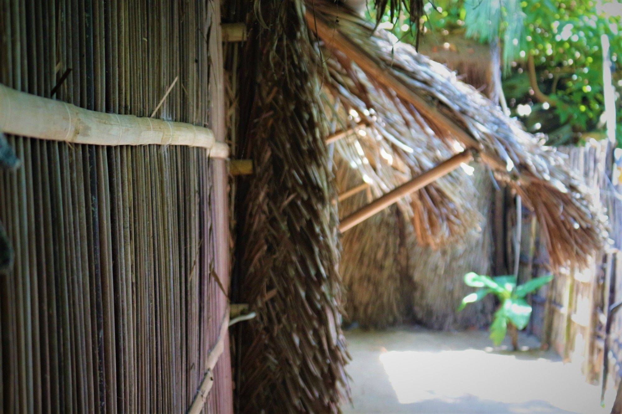 فندق Under The Coconut Tree هوي ان المظهر الخارجي الصورة