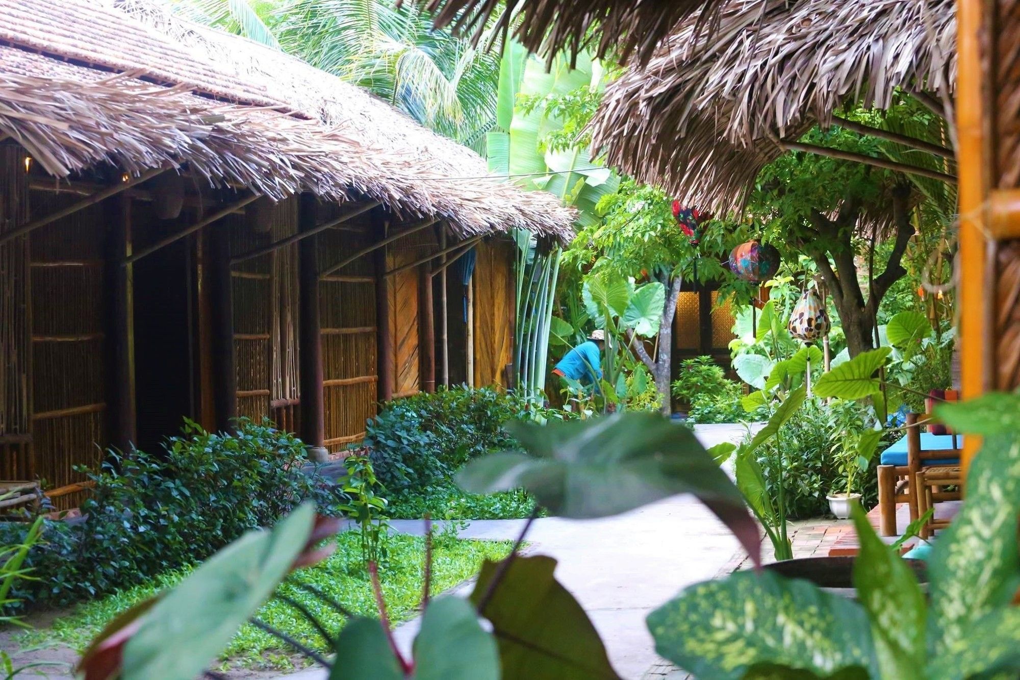 فندق Under The Coconut Tree هوي ان المظهر الخارجي الصورة