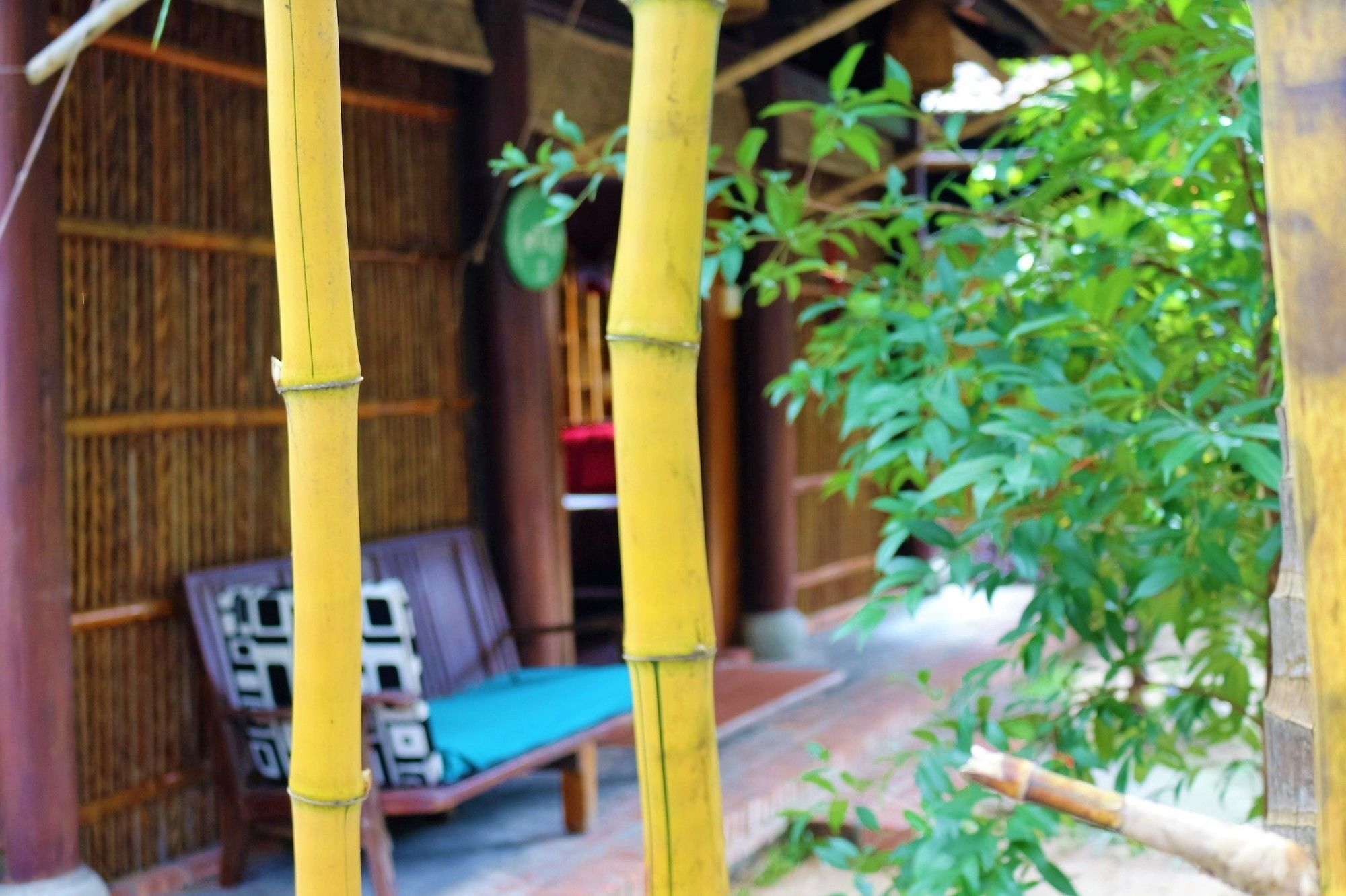 فندق Under The Coconut Tree هوي ان المظهر الخارجي الصورة